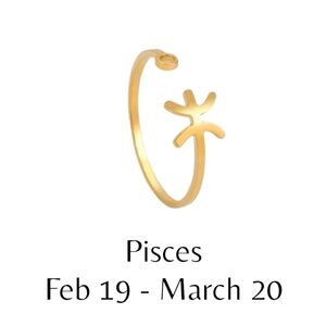 Pisces - Zodiac Constellation Stainless Steel Open Front Adjustable Ring